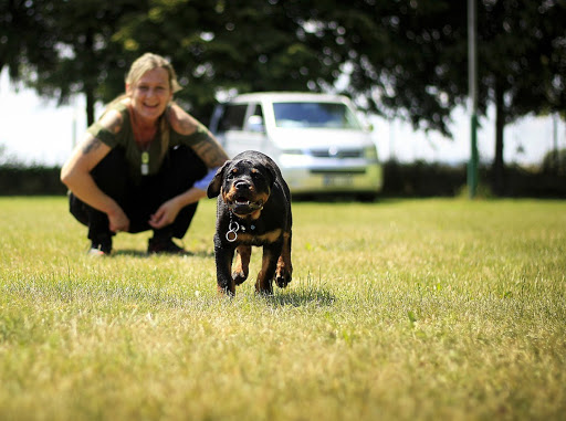 The Lovemore Hotel For Dogs