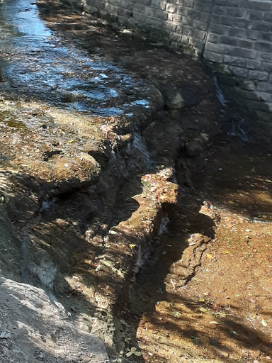 Park «Lions Park», reviews and photos, 1099 S Peach St, Duncanville, TX 75137, USA