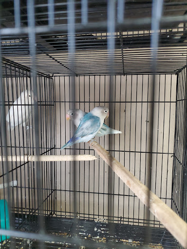 Somethin Fishey Pet Store