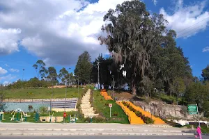 Cerro Altamira Forest Reserve image