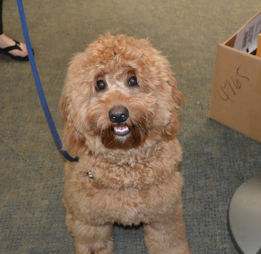 Pet Supply Store «The Natural Pet Enrichment Center», reviews and photos, 6720 Royalton Rd, North Royalton, OH 44133, USA