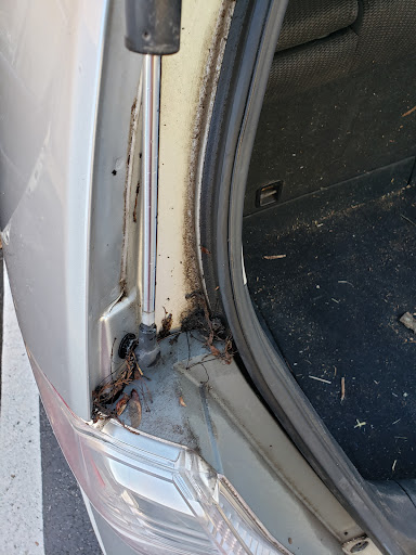 Car Wash «Waterway Carwash», reviews and photos, 10850 Manchester Rd, Kirkwood, MO 63122, USA