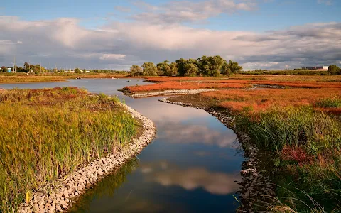 Carp River Conservation Area image