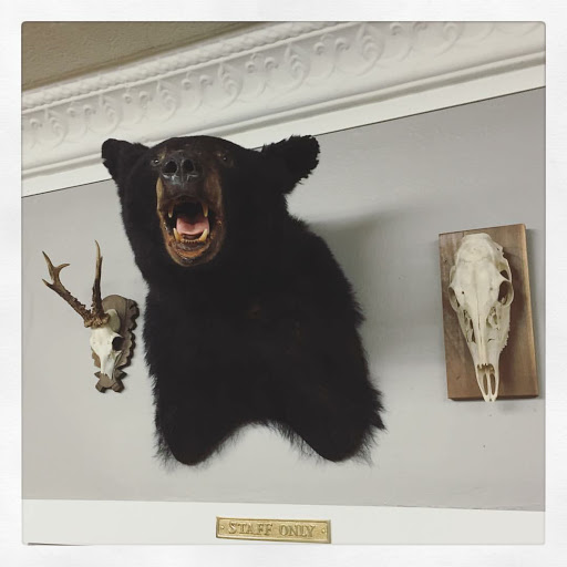 Tattoo Shop «Good Land Tattoo», reviews and photos, 3483 N Oakland Ave, Milwaukee, WI 53211, USA