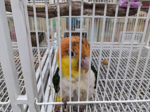 Pet Supply Store «Pet Supermarket, Inc.», reviews and photos, 380 E Michigan St, Orlando, FL 32806, USA