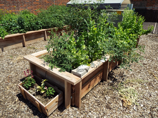 Non-Profit Organization «Kearney Family YMCA», reviews and photos, 4500 6th Ave, Kearney, NE 68845, USA