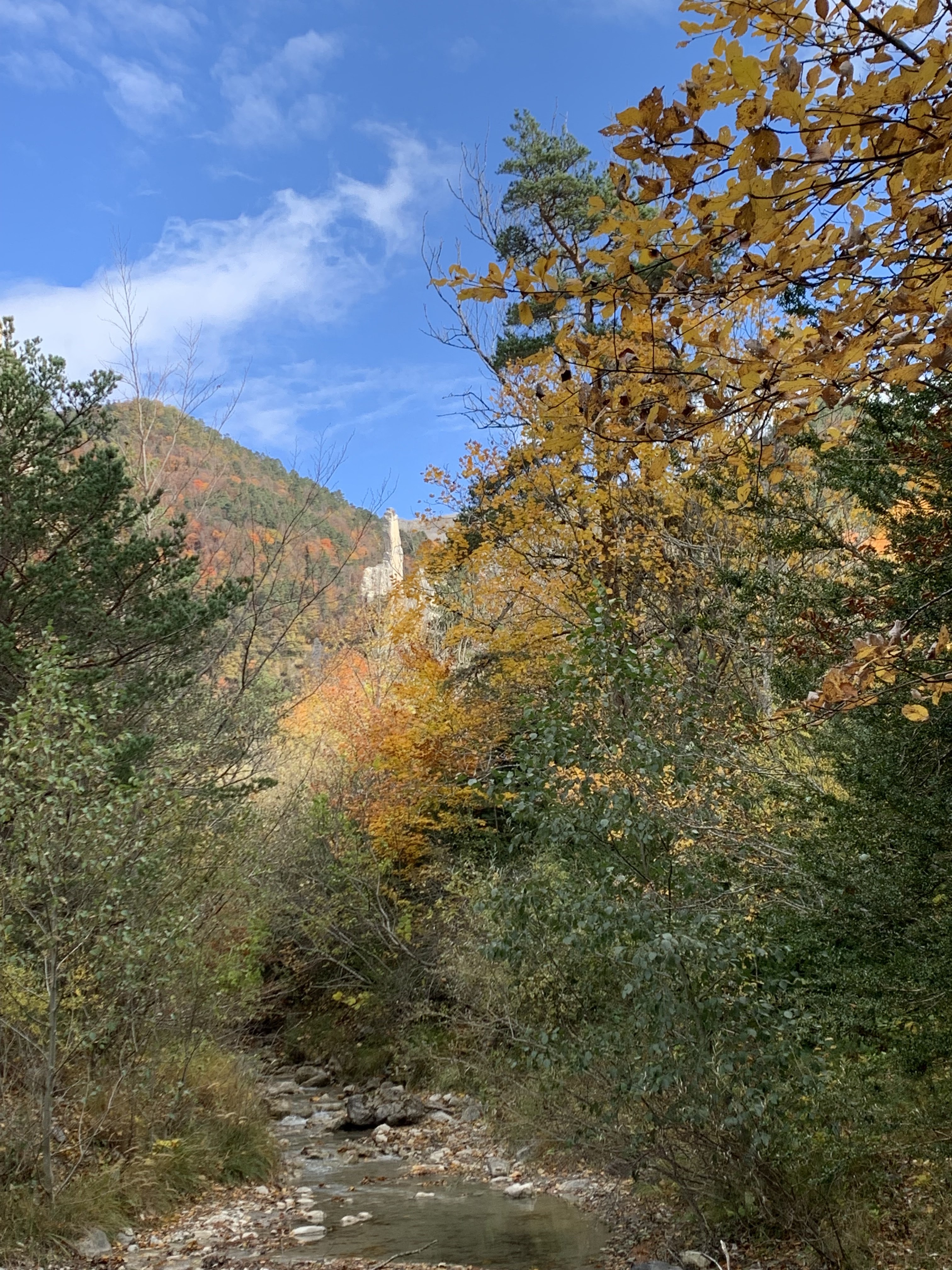 Photo n° 4 de l'avis de Jay.e fait le 29/10/2021 à 12:27