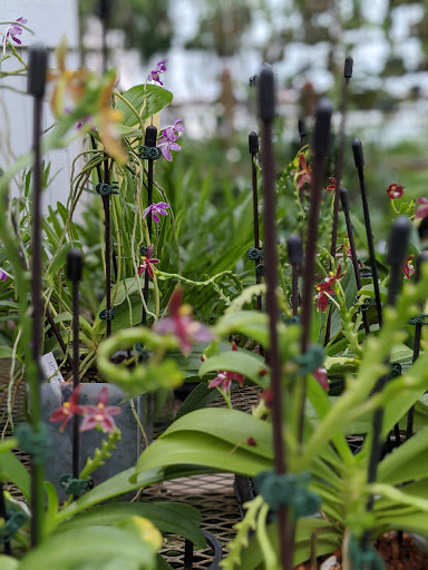 Florist «Little Brook Orchids», reviews and photos, 25 Rider Ave, Lancaster, PA 17603, USA