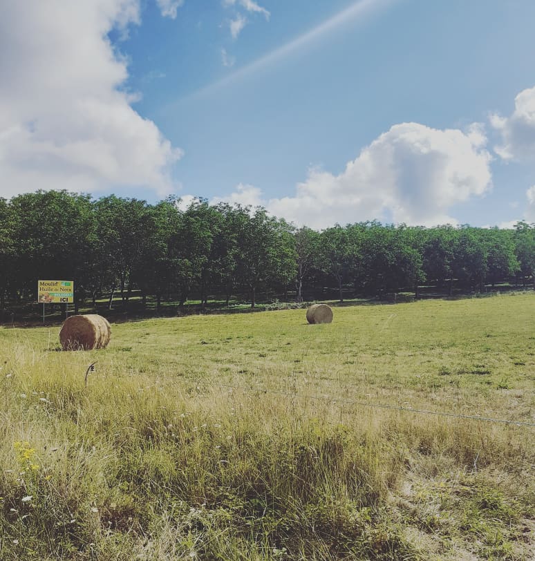 Photo n° 1 de l'avis de Linda.. fait le 19/07/2019 à 12:28