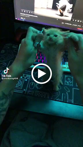 Drug Store «Walgreens», reviews and photos, 9 N Union St, Aurora, IL 60505, USA