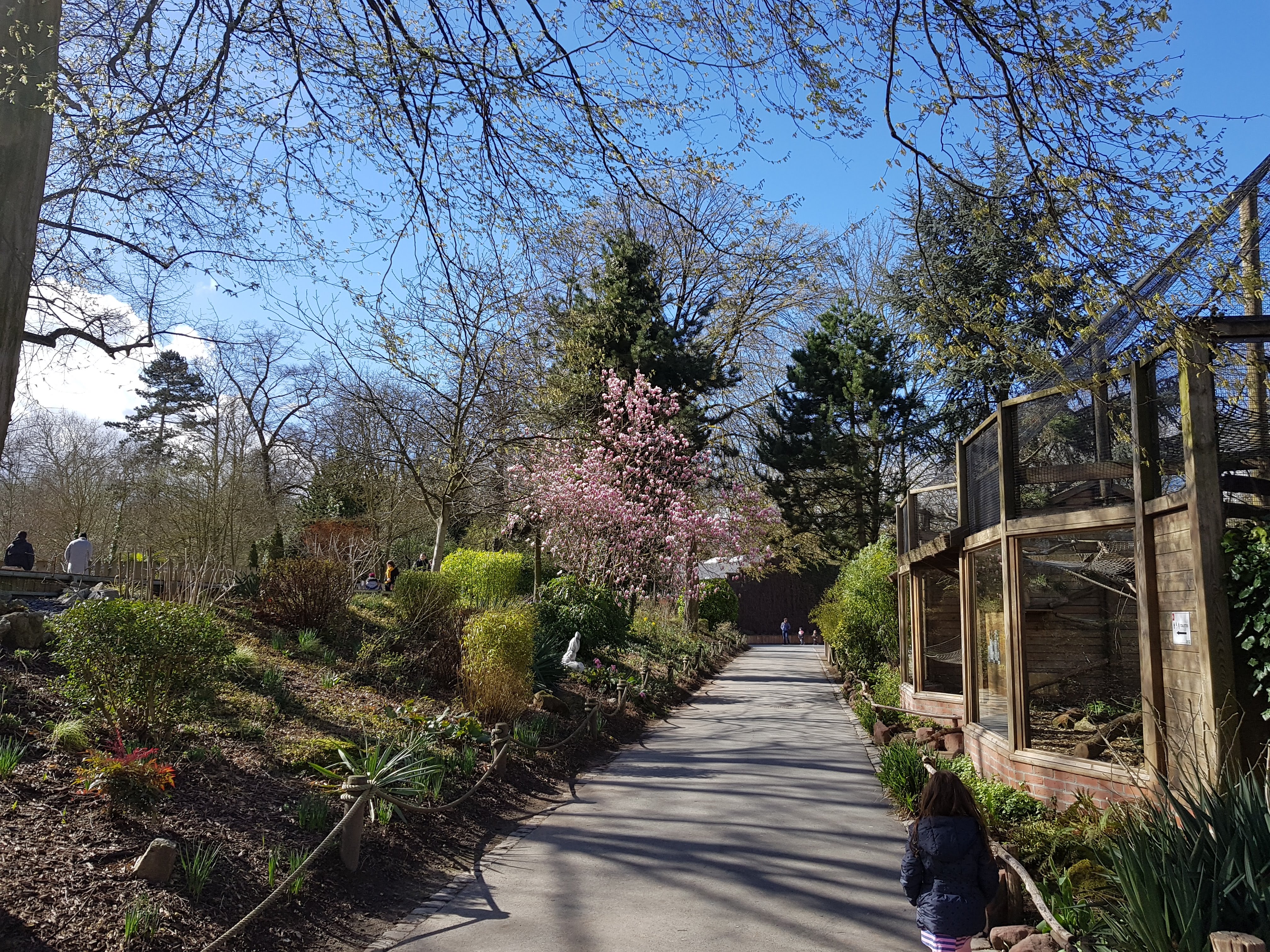 Photo n° 23 de l'avis de Charbel.l fait le 17/03/2019 à 23:45