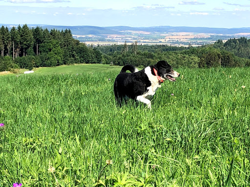 Meike Diedrich unter Herzberg am Harz, Niedersachsen