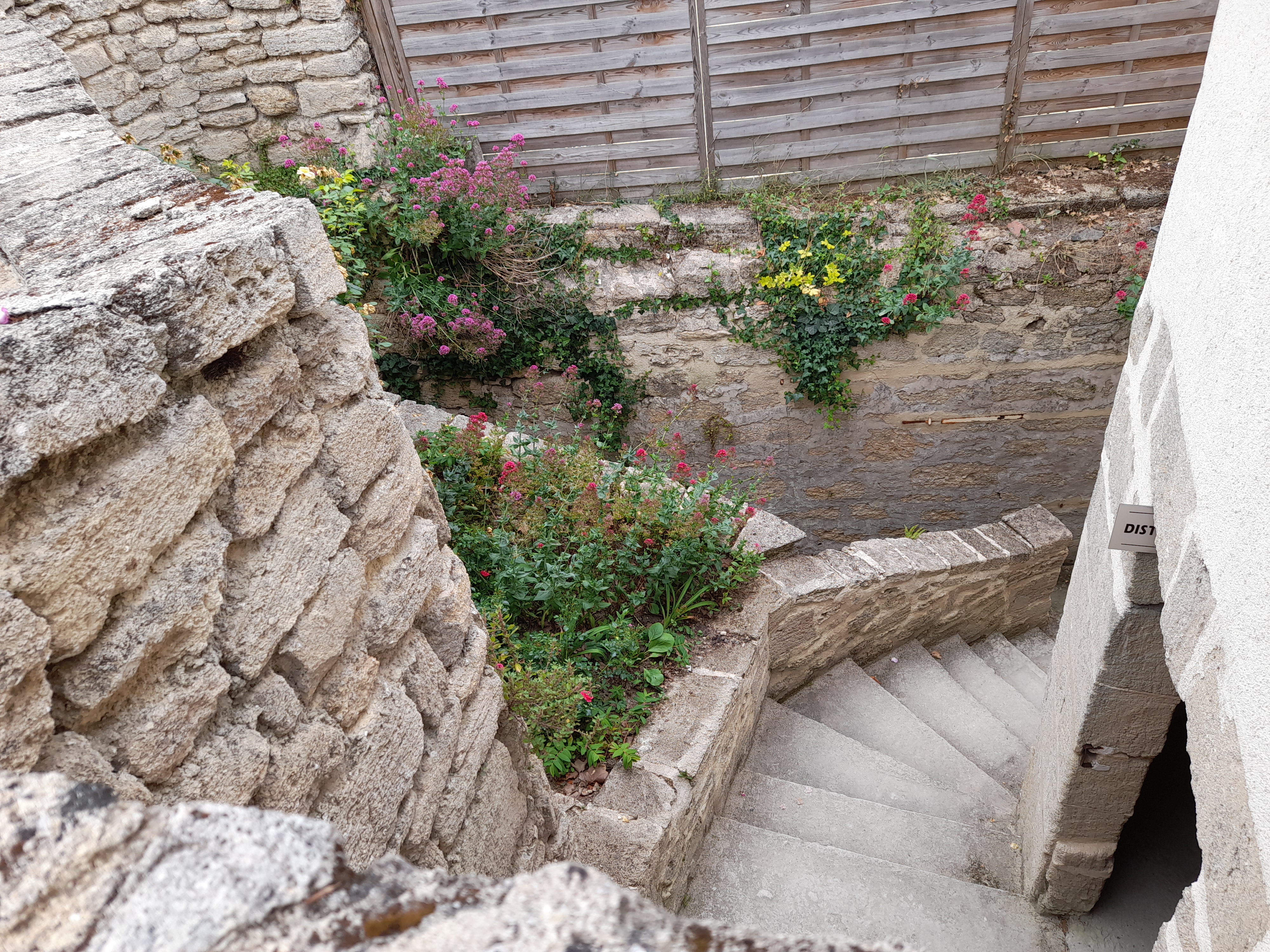 Photo n° 36 de l'avis de Patou.a fait le 27/05/2022 à 16:27