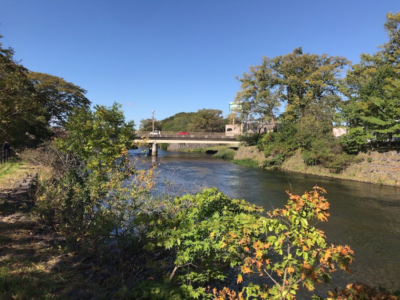 サーモン橋