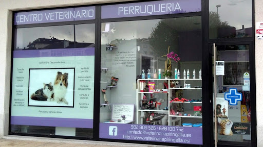 Centro Veterinario A Piringalla en Lugo