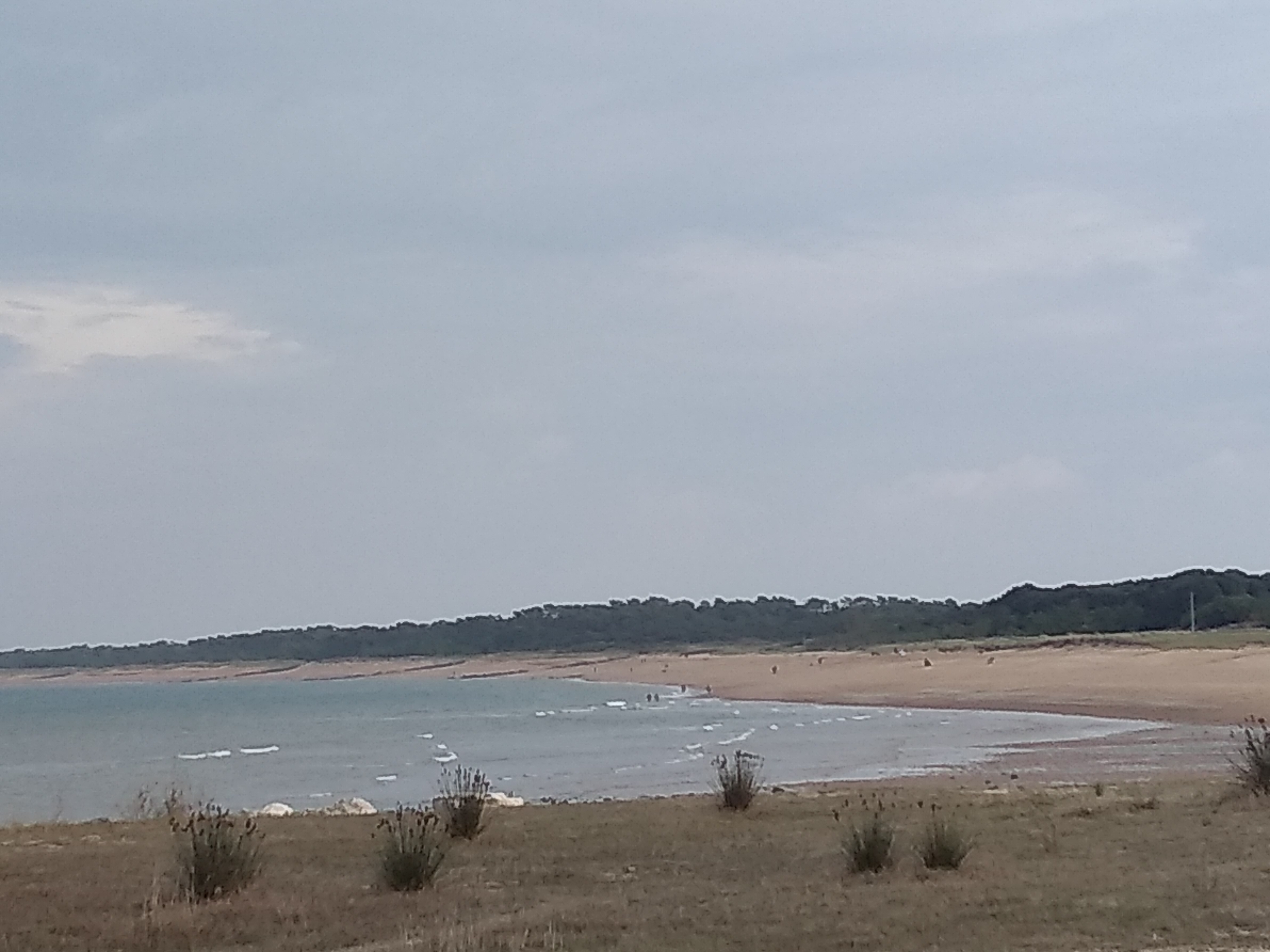 Photo n° 3 de l'avis de Jacques.U fait le 22/09/2020 à 16:29