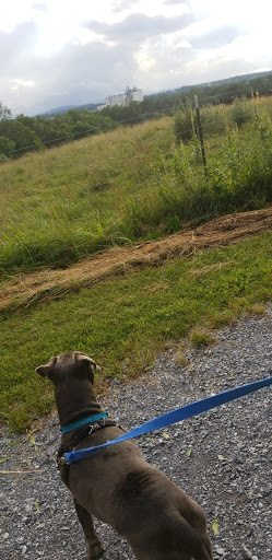 Battle Site «Third Battle of Winchester Battlefield Park», reviews and photos, 541 Redbud Rd, Winchester, VA 22603, USA