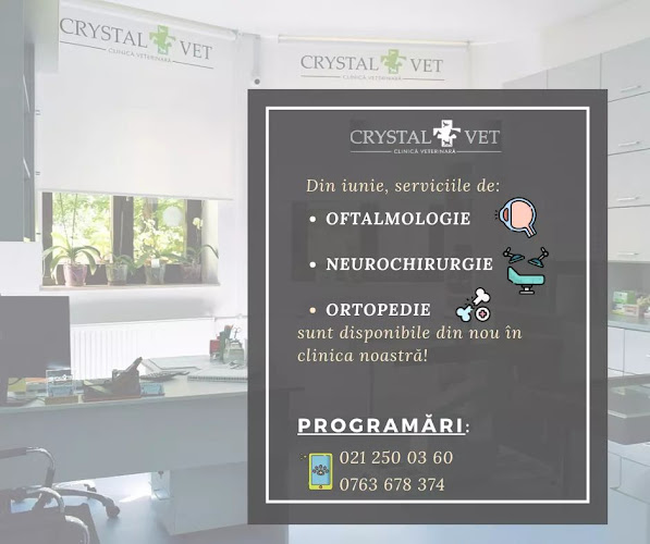 Crystal Vet - Urgente Veterinare Non Stop - <nil>
