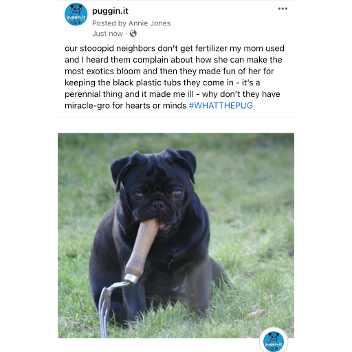 Marketing Agency «Rock Candy Media», reviews and photos, 5900 Balcones Dr #205, Austin, TX 78731, USA