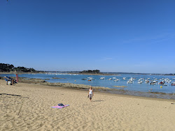 Foto von Plage de la Grande Salinette umgeben von Bergen