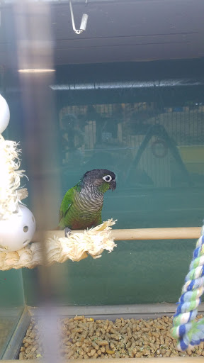 Pet Supply Store «Pet Supplies Plus», reviews and photos, 2155 Delaware Ave, Buffalo, NY 14216, USA