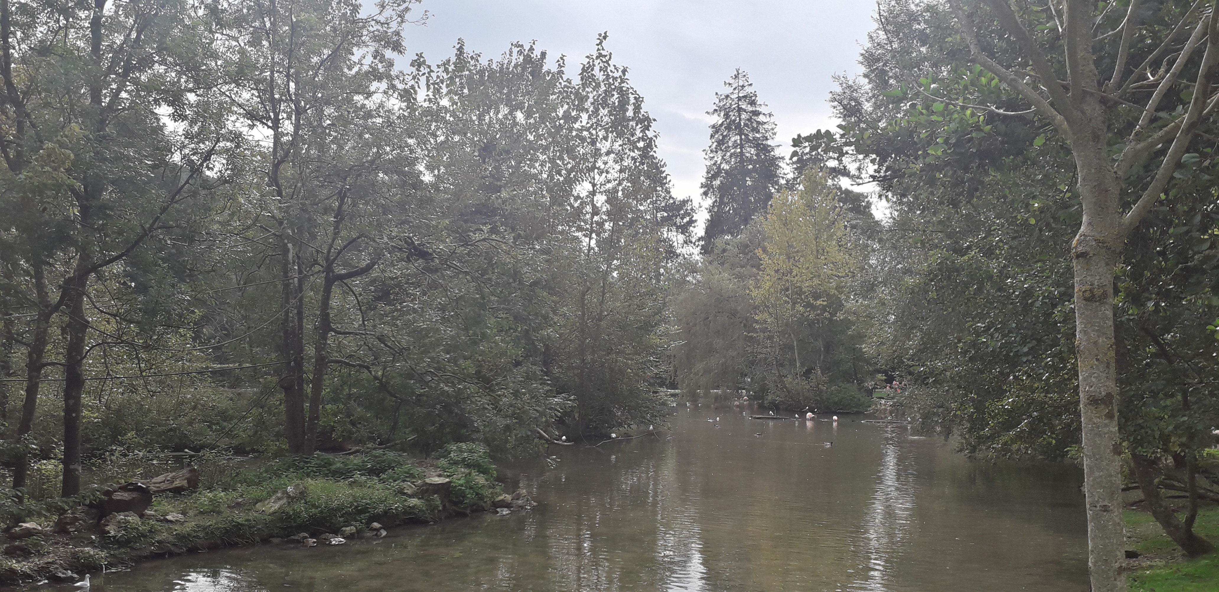 Photo n° 25 de l'avis de lilou.i fait le 19/09/2020 à 16:48