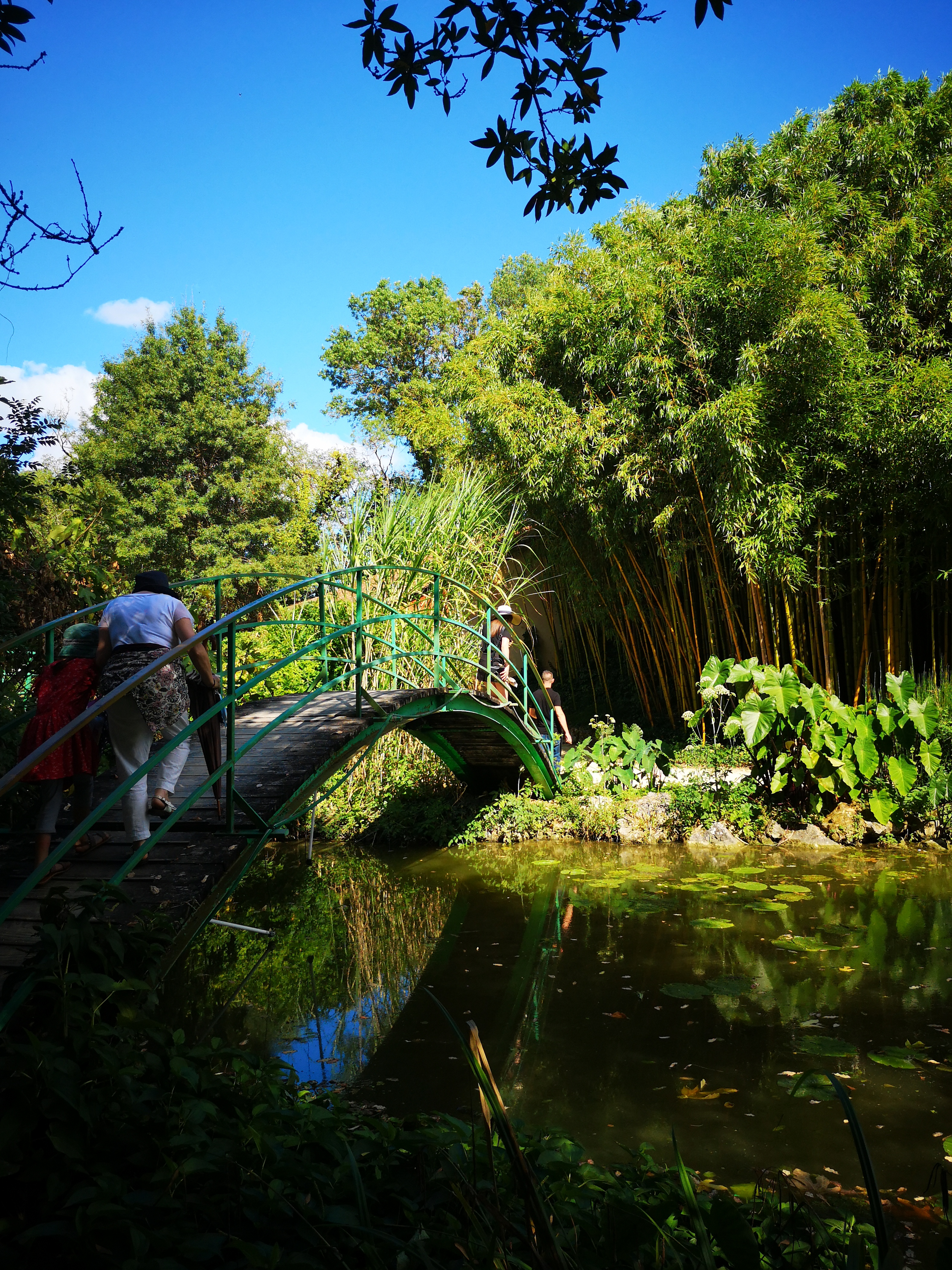 Photo n° 8 de l'avis de Mallory.e fait le 24/08/2020 à 06:08