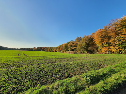 Golfunterricht Düsseldorf