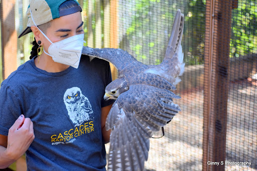 Nature Preserve «Cascades Raptor Center», reviews and photos, 32275 Fox Hollow Rd, Eugene, OR 97405, USA