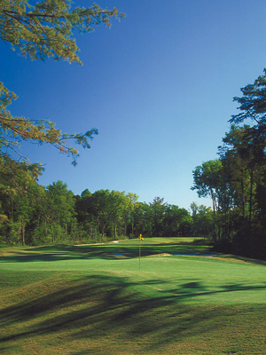 Golf Club «The Golf Club at Stonebridge», reviews and photos, 301 Stonebridge Blvd, Bossier City, LA 71111, USA