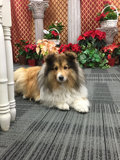 Florist «Fremont Flowers...always fresh!», reviews and photos, 4050 Alder Ave, Fremont, CA 94536, USA