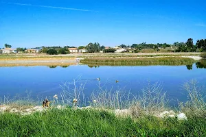 Laguna de "La Rana" image