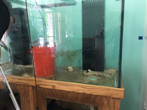 Tropical Fish Store «Hooked On Reefs», reviews and photos, 228 Hibiscus St #1, Jupiter, FL 33458, USA