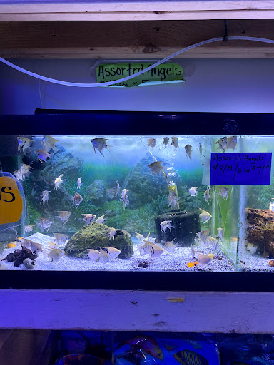 Tropical Fish Store «Best Fish», reviews and photos, 1335 N Doctor M.L.K. Dr, Milwaukee, WI 53212, USA