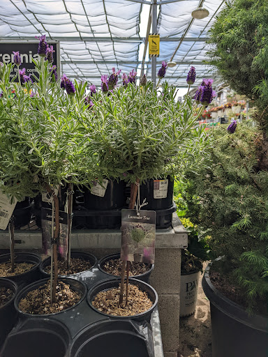 Home Improvement Store «The Home Depot», reviews and photos, 1780 NE Four Acre Pl, Corvallis, OR 97330, USA