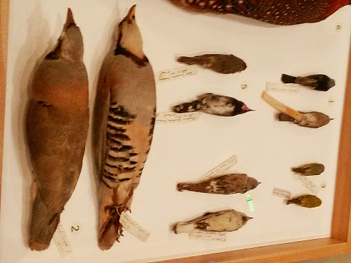 Museum «Mary and Leigh Block Museum of Art», reviews and photos, 40 Arts Cir Dr, Evanston, IL 60208, USA