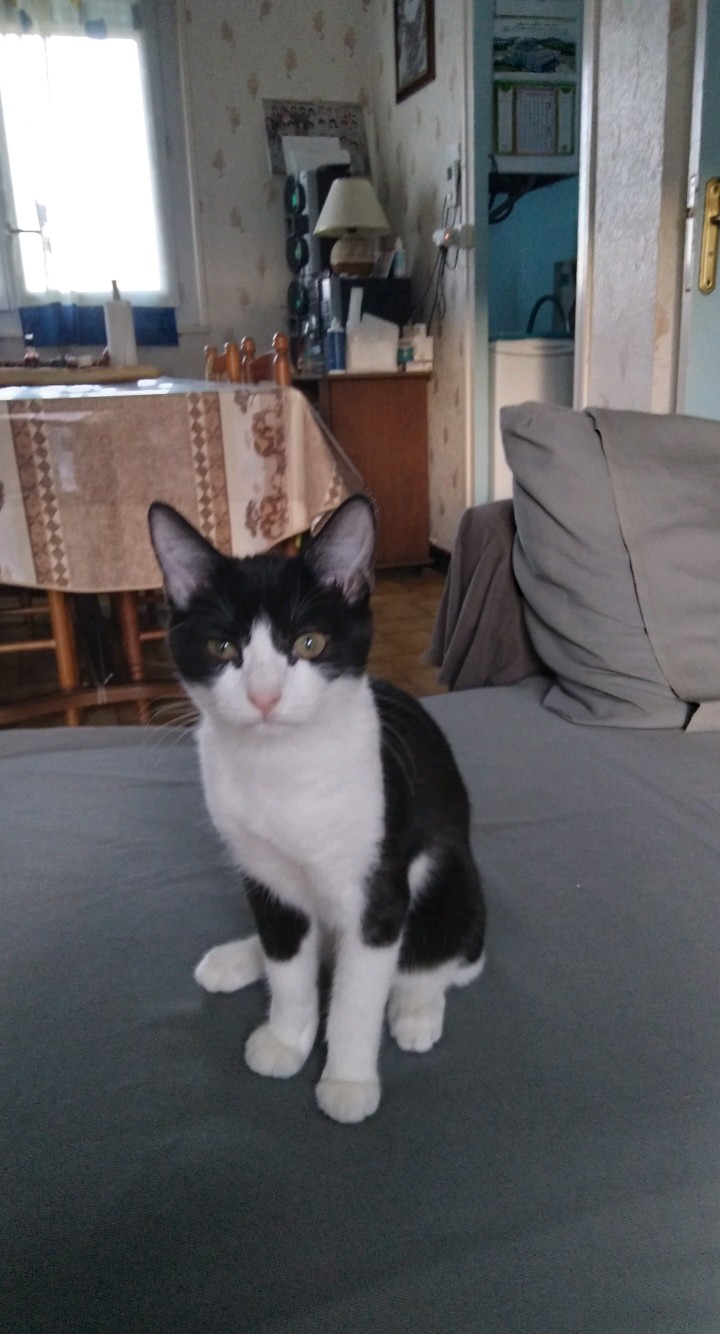 Photo n° 2 de l'avis de Omar.a fait le 08/12/2023 à 06:49