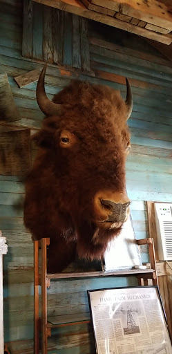 Winery «Poteet Country Winery», reviews and photos, 400 Tank Hollow, Poteet, TX 78065, USA