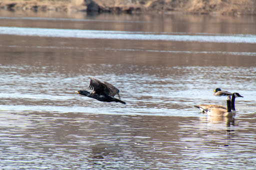 Park «Marshall Terrace Park», reviews and photos, 2740 Marshall St NE, Minneapolis, MN 55418, USA