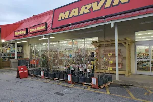 Marvin's image