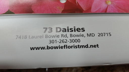 Florist «73 DAISIES», reviews and photos, 7418 Laurel Bowie Rd, Bowie, MD 20715, USA