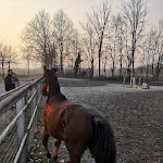 Photo n°3 de l'avis de Alessandro.a fait le 07/03/2020 à 18:39 sur le  Agriturismo La Soldanella à Rosta