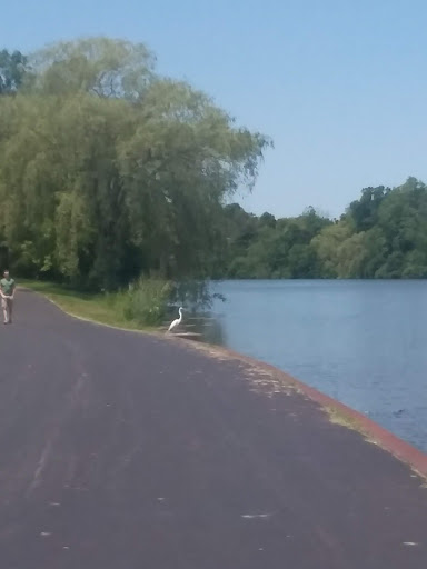 Tourist Attraction «Hoyt Lake», reviews and photos, 199 Lincoln Pkwy, Buffalo, NY 14222, USA