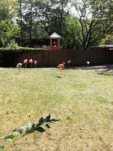 Zoo «Potawatomi Zoo», reviews and photos, 500 S Greenlawn Ave, South Bend, IN 46615, USA