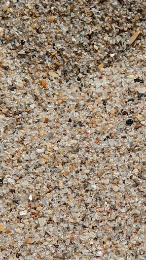 Park «El Prado Park», reviews and photos, 4500 El Mar Dr, Lauderdale-By-The-Sea, FL 33308, USA