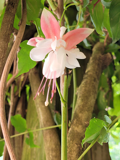 Farm «B & B Flower Farm», reviews and photos, 668 Jones Hill Rd, West Haven, CT 06516, USA