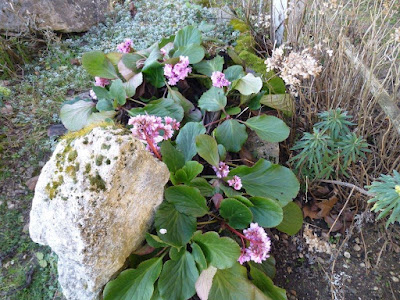Jardin Jean Boucher à Châteauneuf-sur-Loire