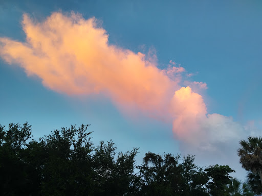 Community Center «Jaco Pastorius Park Community Center», reviews and photos, 1098 NE 40th Ct, Oakland Park, FL 33334, USA