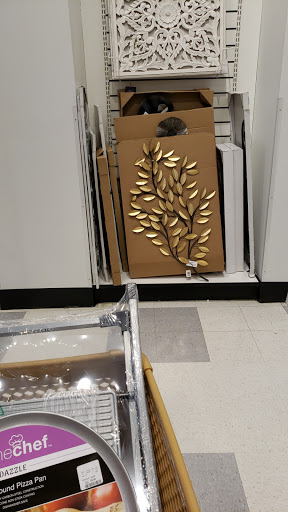 Department Store «HomeGoods», reviews and photos, 8345 Franklin Rd, Boise, ID 83709, USA