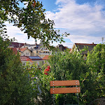 Photo n°4 de l'avis de Markus.c fait le 18/08/2020 à 15:53 sur le  Schlossgarten Café Restaurant Bar à Murnau am Staffelsee